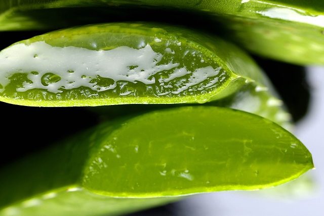 Aloe Vera Green Shop